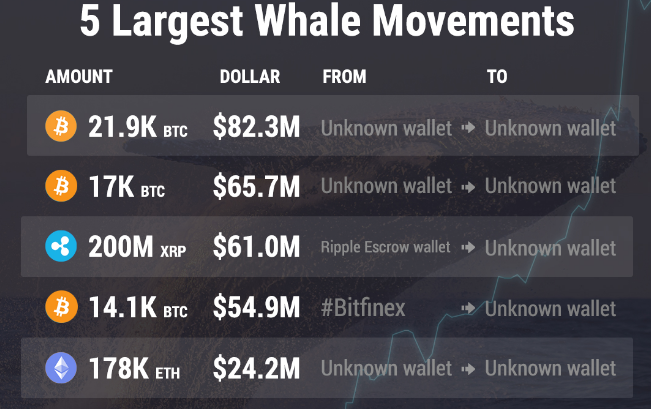 Kripto balina hareketleri: Balinalar 288 milyon dolarlık hazırlık yapıyor